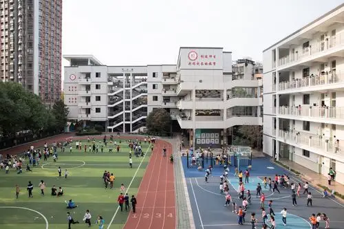 记武汉市育才第二小学二年级(10)班 急救安全知识进课堂活动
