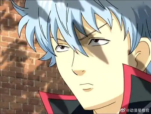 银时,自截头像眼神坚毅,立场坚定!