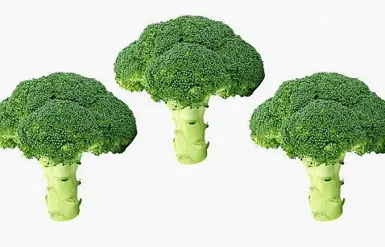 三颗西兰花蔬菜图片免抠素材