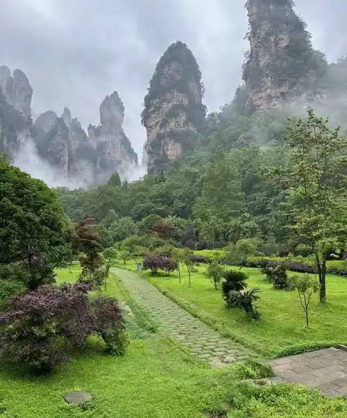 当地特色美食如剁椒鱼头,土家族腊肉等,一顿饭预计在50-100元.
