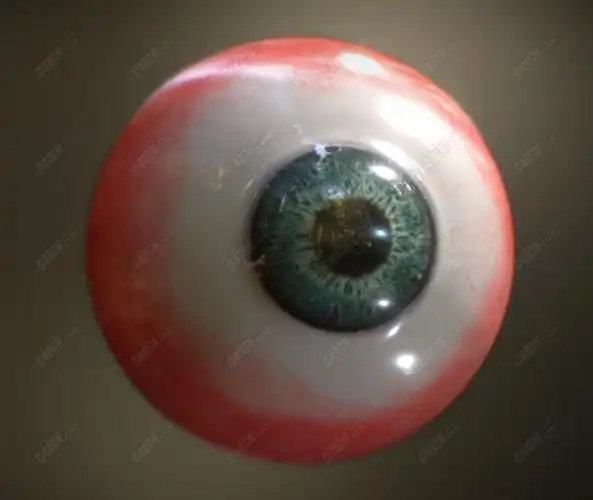 c4d模型库写实人类眼球眼睛模型下载