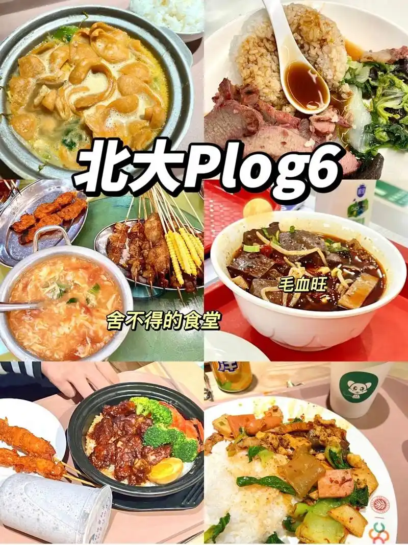 北大食堂也太好吃了7815 最近在纠结下学期延不延期,打开相册发现