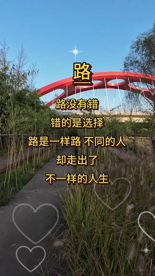 路没有错,错的是选择!#情感#情感语录#人生感悟