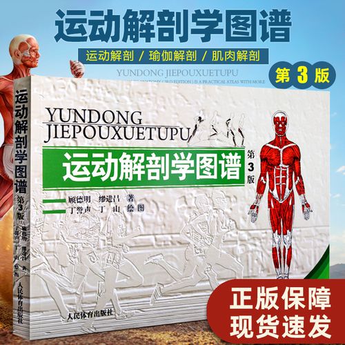 运动解剖学图谱修订第3三版 人体医学解剖图解书肌肉健美训练讲解健身