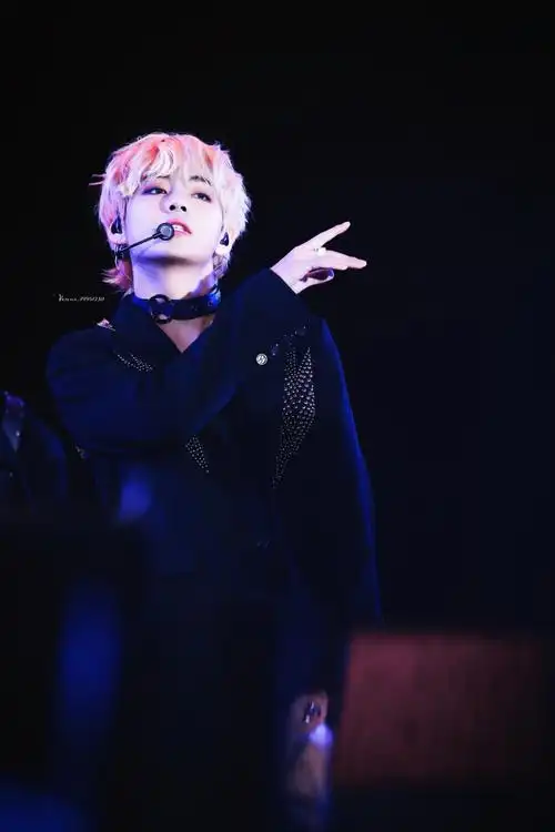 金泰亨 180622 乐天家族演唱会 cr logo