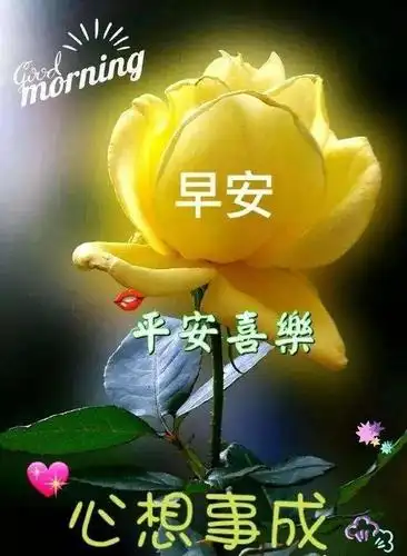 新的一周最新早上好祝福温馨语句,最美的早安祝福文字表情图片