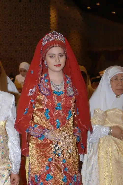 文莱的王室,真有华人血统吗?