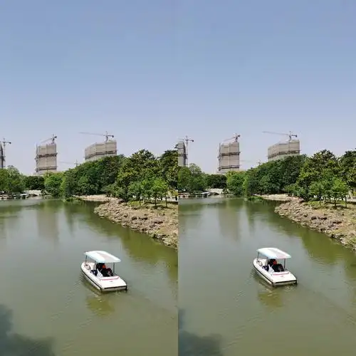 裸眼3d作品集第32期用平行眼技巧就能看到立体感的花朵哦