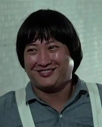 洪金宝福星系列