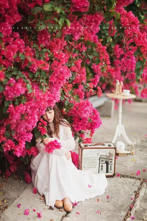 花与爱丽丝の花仙子偶然【三角梅唯美意境人像】