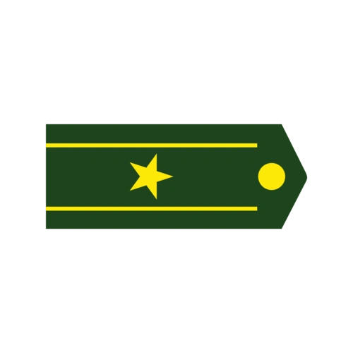 建军节军衔少校矢量图图片