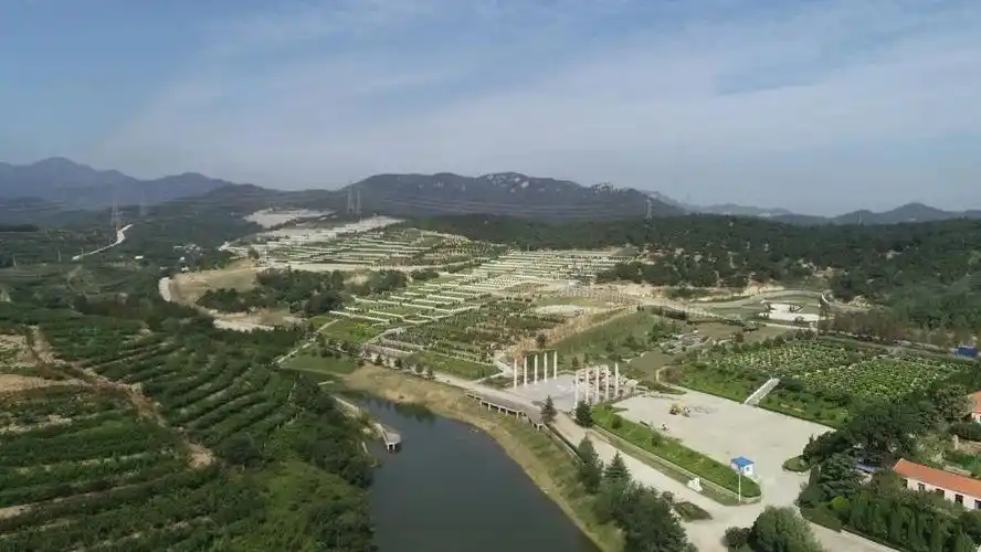 供销集团龙凤山陵园别样祭扫一样情