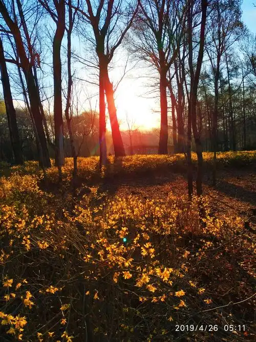 寻找春天〕晨光唤醒了风一行走在诗画雁乡