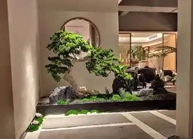 枯山水植物微景观造景