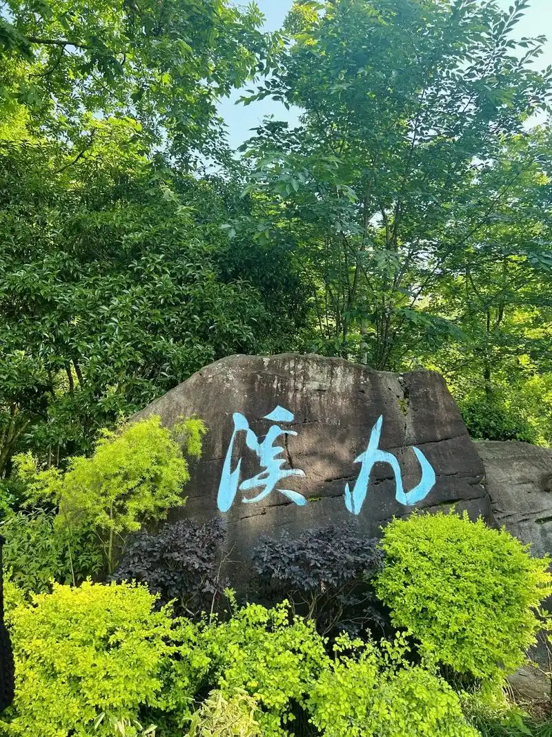 九溪十八涧,山清水更幽!#森林氧吧 #夏天该有的样子 - 抖音