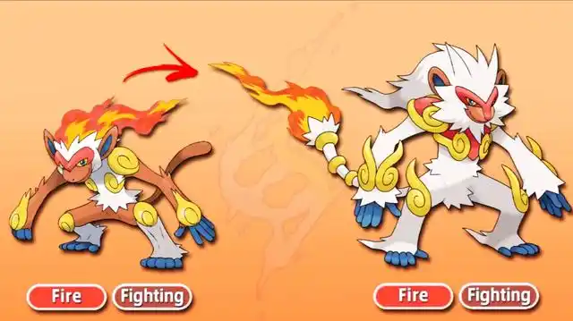 精灵宝可梦:当神奥御三家获得mega之力,烈焰猴超帅,土台龟更重