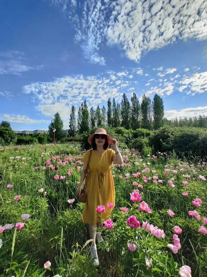 温暖的阳光,蓝天白云,美丽的花朵争奇斗艳.记录随走随拍,大自 - 抖音