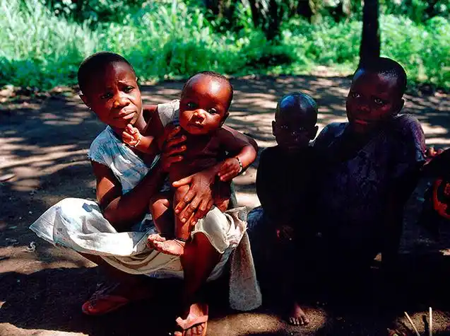 八岁便可生育的俾格米人(原创)