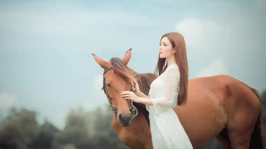 时间:2021-07-26浏览:(169)标签:格式:jpg热门壁纸标签椰子树星穹铁道