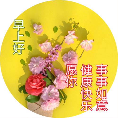 最新版漂亮早安图片鲜花带字,最美早上好问候语图片带字温馨