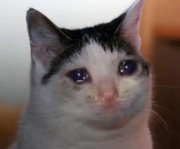 假如大家都有了微信朋友圈【2】