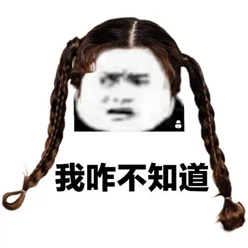 我咋不知道长辫子熊猫头熊猫辫子知道表情