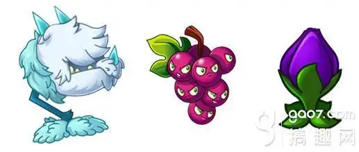 冰龙草火龙草的简笔画