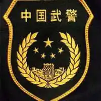 军人臂章微信头像_微信头像图片大全