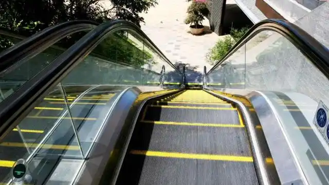 最短的电梯只有5层台阶高,网友:为啥不直接跳过去,浪费资源呢你们