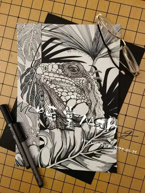 蜥蜴手绘黑白装饰画插画原创