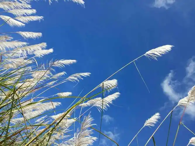 美丽的心情,晴朗的天空,今天是11月16日,张睿琪小朋友又迎来了一次