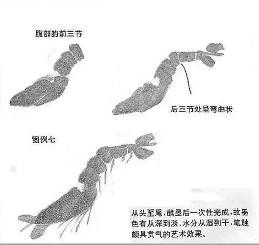 国画虾的画法步骤
