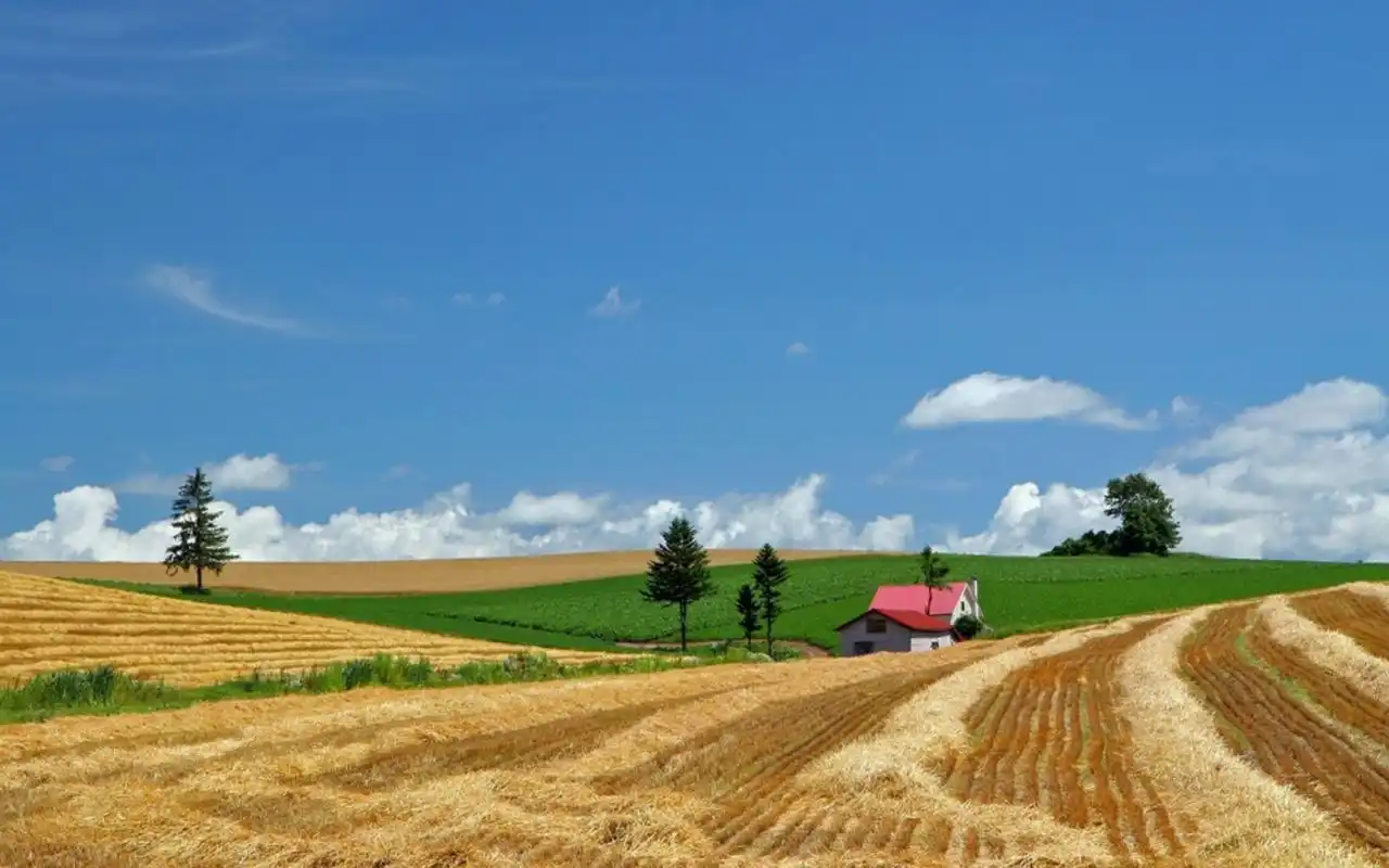 风景壁纸,唯美,摄影,自然风光,田园,壁纸,1920x1200