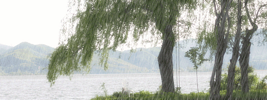 548_206gif 动态图 动图