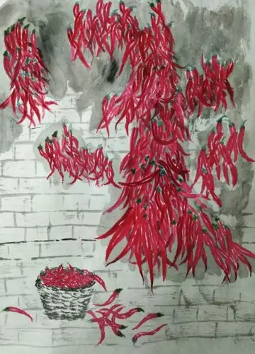 火红的辣椒 火红的生活