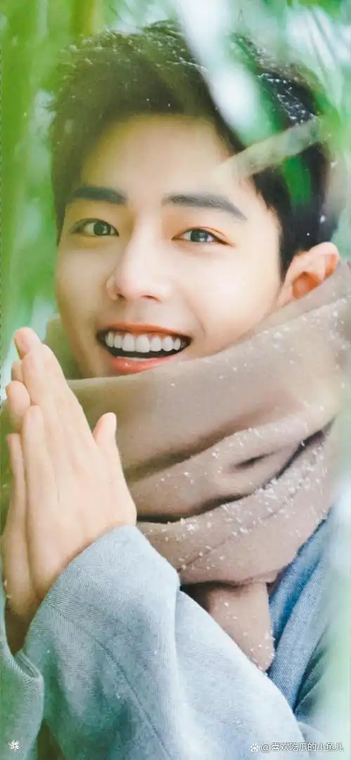 肖战竹林大片实在太好看,忍不住收藏!