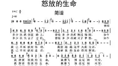 怒放的生命吉他谱