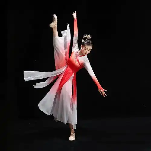 古典舞服装演出服女飘逸古风伞舞扇子舞蹈服艺考现代舞伴舞表演服