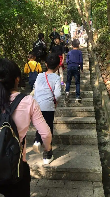 "放飞心情,快乐户外行"一一惠州市绿杨小学第二届家委会亲子登山活动