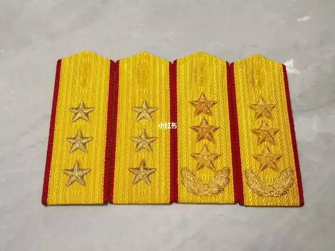 87上将肩章