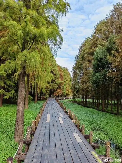 随手拍##上海青西郊野公园