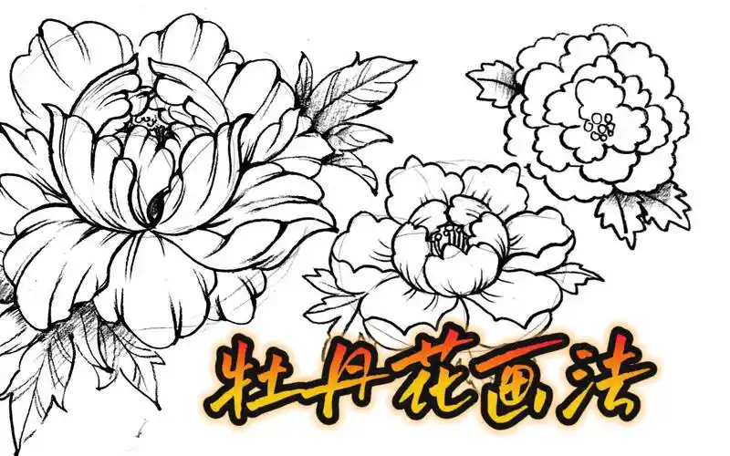 同样错落围绕在花心周围4画上牡丹花画的叶子5涂上颜色,一朵美丽牡丹