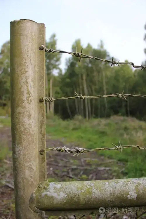 带刺铁丝网的旧围栏照片-正版商用图片1n93f1-摄图新视界