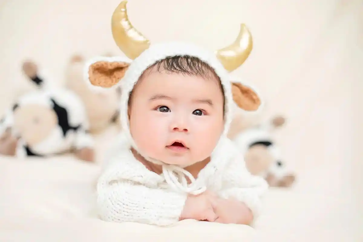 真的好喜欢这几张照片