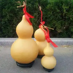 特大葫芦种子巨型图片