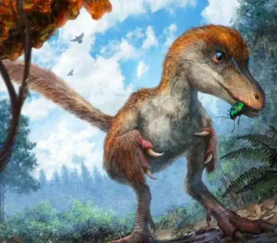 缅甸琥珀中的恐龙尾巴🦖