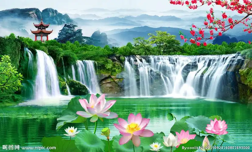 荷花鸿运当头设计图__风景_psd分层素材_设计图库_昵图网nipic.com