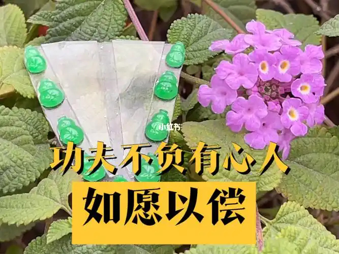 功夫不负有心人