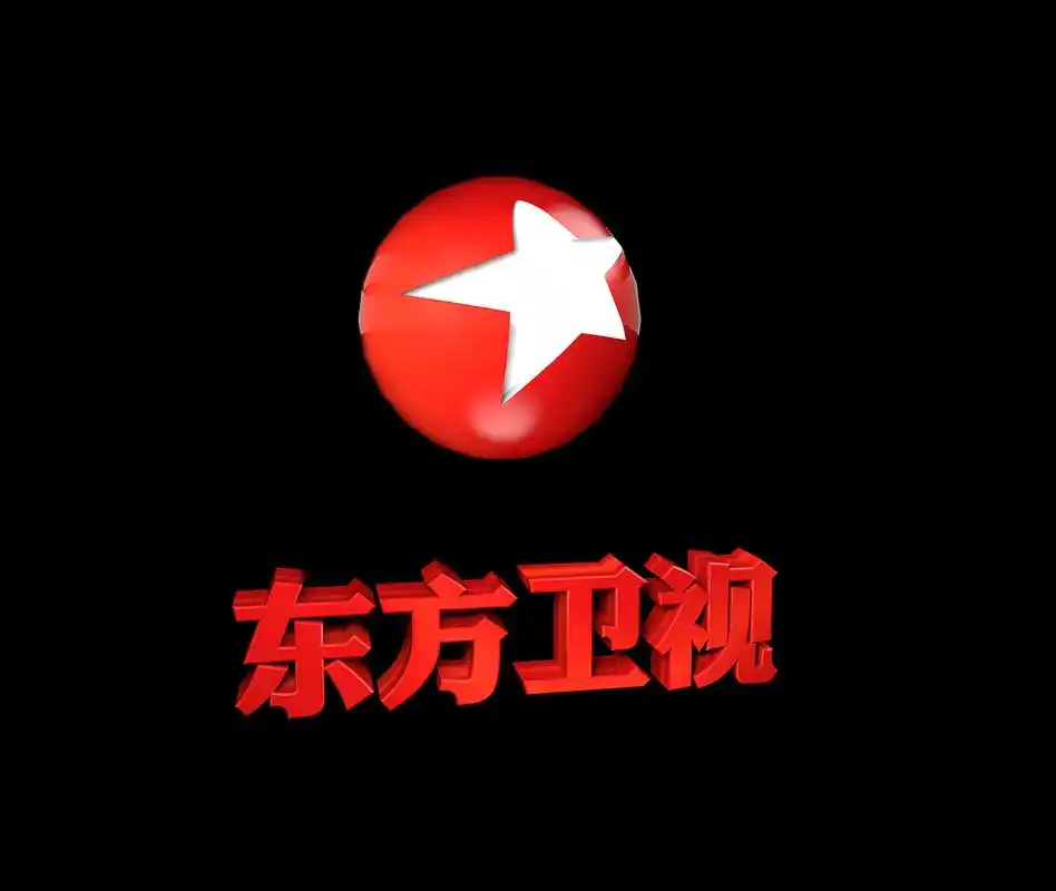 东方卫视图标|平面|logo|ashley0719_原创作品-站酷(zcool)