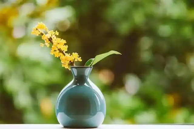 3,做自己的主人,淡泊于世,淡然于心.